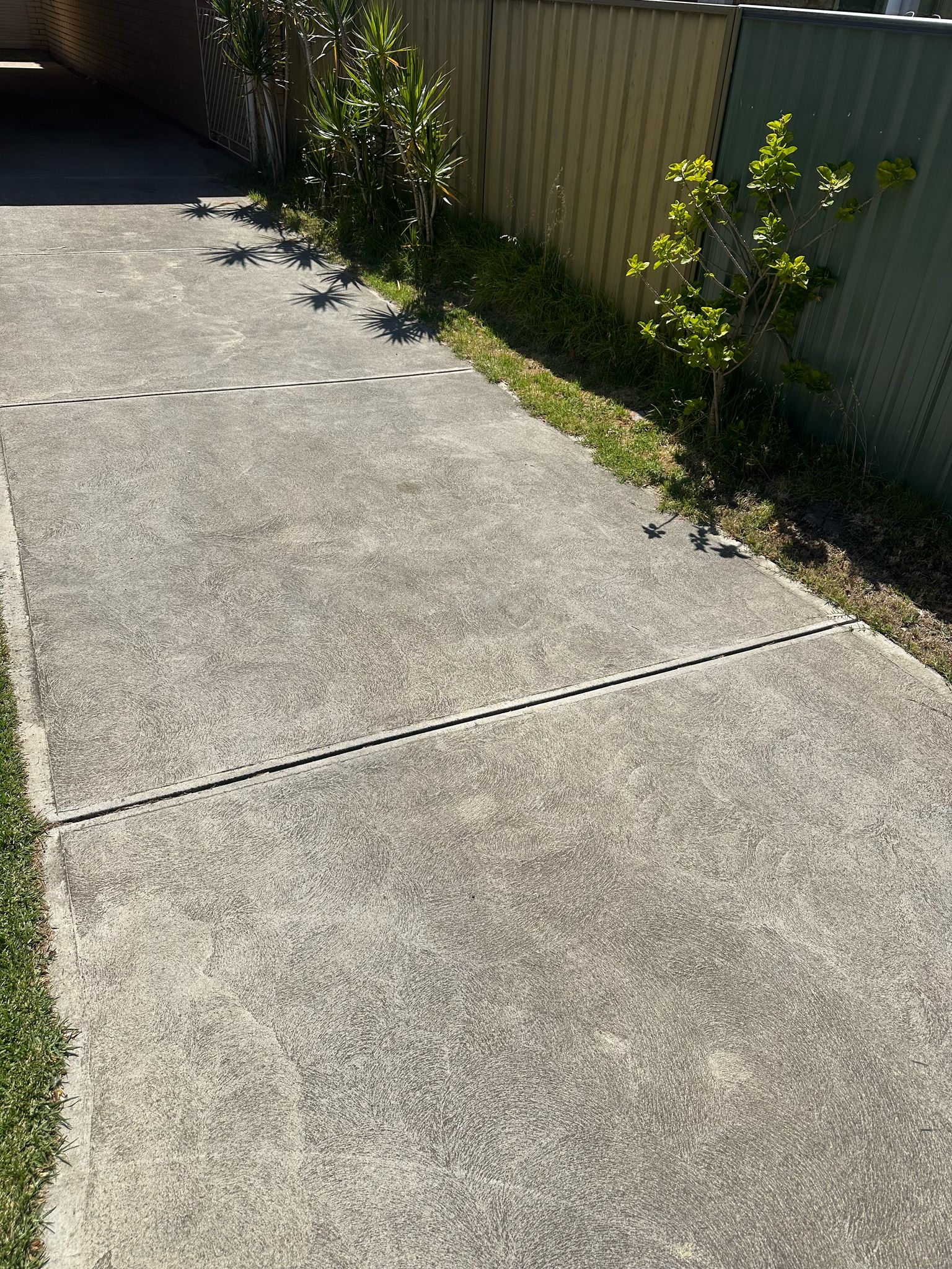 Before pathway cleaning