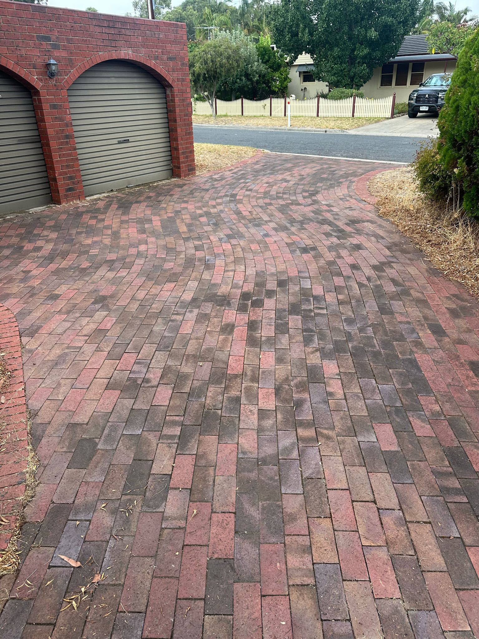 Before fence cleaning